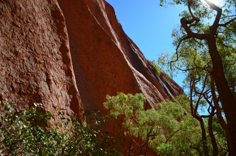 Вся Австралия с островами Фрейзер и Тасмания: 26 тыс км на авто (много фото)