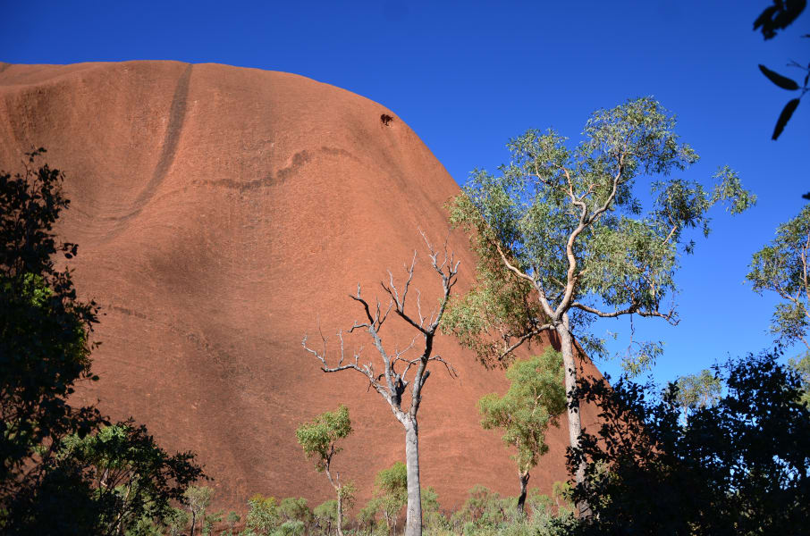 Вся Австралия с островами Фрейзер и Тасмания: 26 тыс км на авто (много фото)