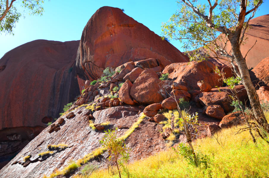 Вся Австралия с островами Фрейзер и Тасмания: 26 тыс км на авто (много фото)
