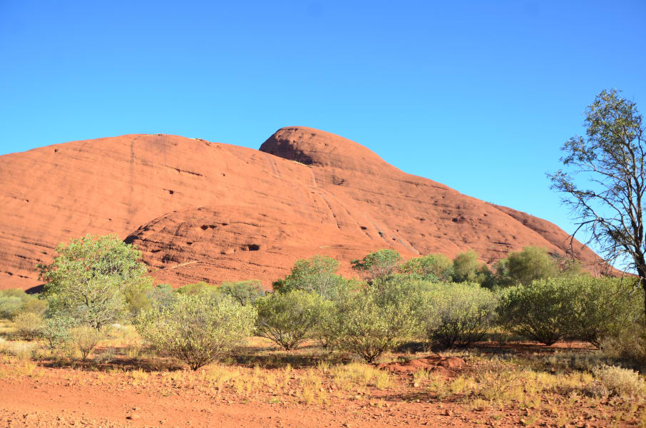 Вся Австралия с островами Фрейзер и Тасмания: 26 тыс км на авто (много фото)