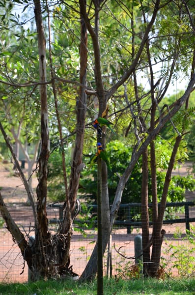 Вся Австралия с островами Фрейзер и Тасмания: 26 тыс км на авто (много фото)