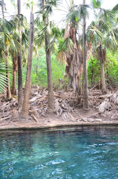 Вся Австралия с островами Фрейзер и Тасмания: 26 тыс км на авто (много фото)