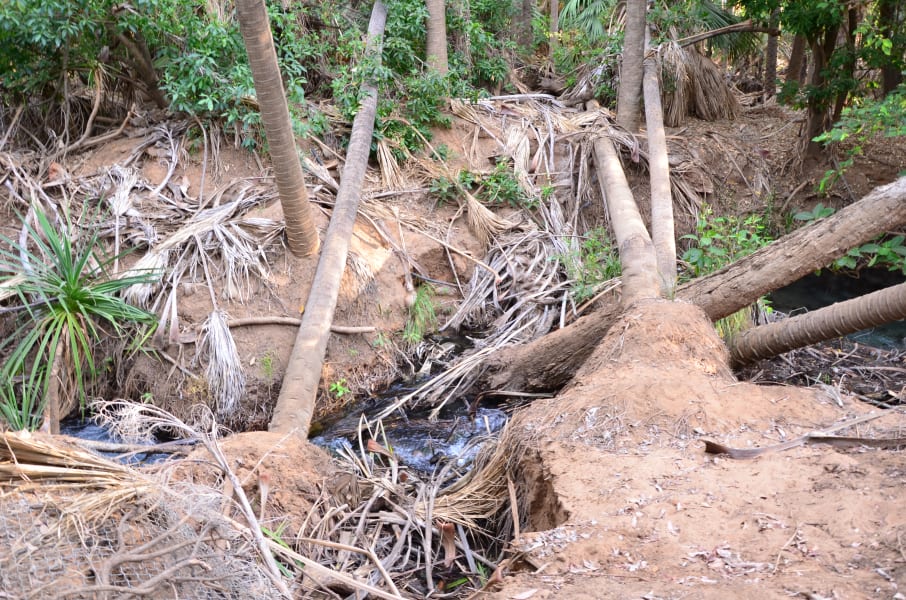 Вся Австралия с островами Фрейзер и Тасмания: 26 тыс км на авто (много фото)