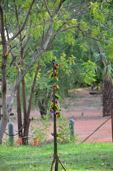 Вся Австралия с островами Фрейзер и Тасмания: 26 тыс км на авто (много фото)