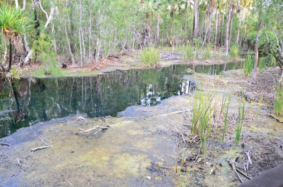 Вся Австралия с островами Фрейзер и Тасмания: 26 тыс км на авто (много фото)
