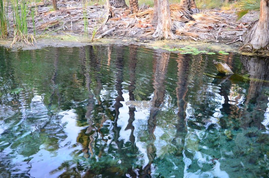 Вся Австралия с островами Фрейзер и Тасмания: 26 тыс км на авто (много фото)