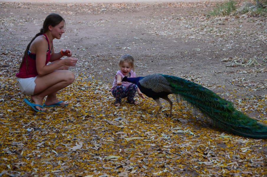 Вся Австралия с островами Фрейзер и Тасмания: 26 тыс км на авто (много фото)