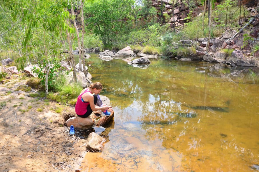 Вся Австралия с островами Фрейзер и Тасмания: 26 тыс км на авто (много фото)