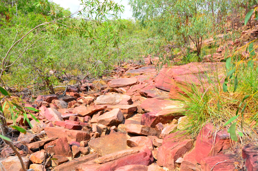 Вся Австралия с островами Фрейзер и Тасмания: 26 тыс км на авто (много фото)