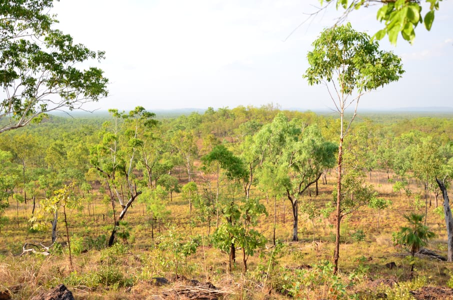 Вся Австралия с островами Фрейзер и Тасмания: 26 тыс км на авто (много фото)