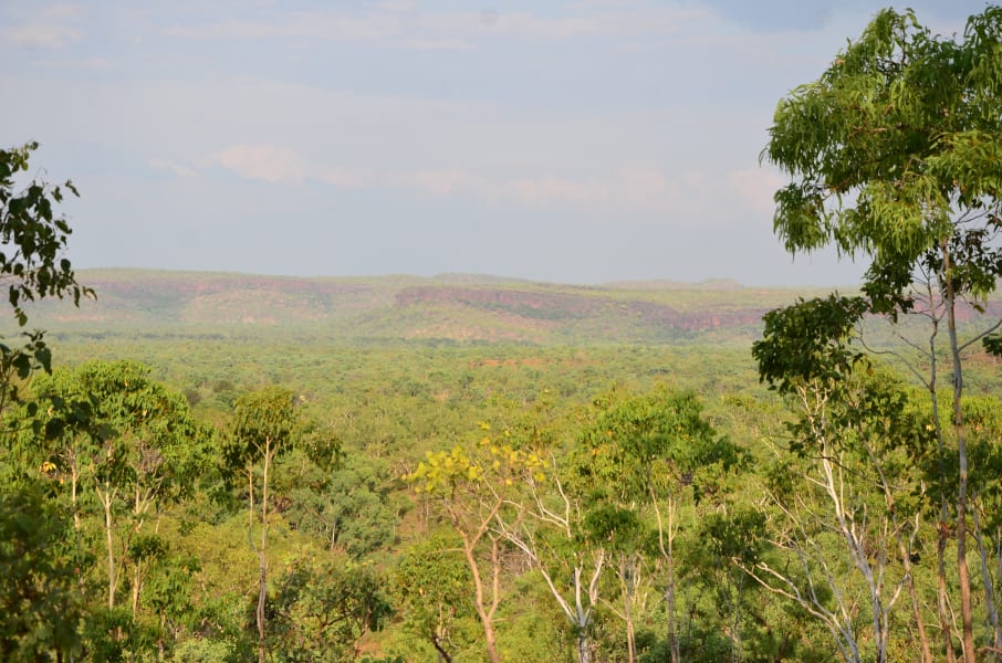 Вся Австралия с островами Фрейзер и Тасмания: 26 тыс км на авто (много фото)