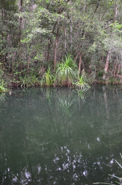 Вся Австралия с островами Фрейзер и Тасмания: 26 тыс км на авто (много фото)