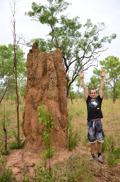 Вся Австралия с островами Фрейзер и Тасмания: 26 тыс км на авто (много фото)