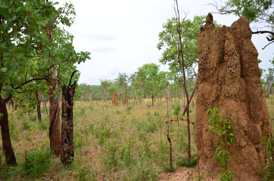 Вся Австралия с островами Фрейзер и Тасмания: 26 тыс км на авто (много фото)