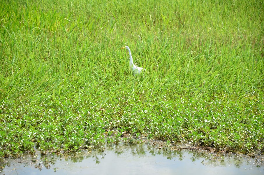 Вся Австралия с островами Фрейзер и Тасмания: 26 тыс км на авто (много фото)