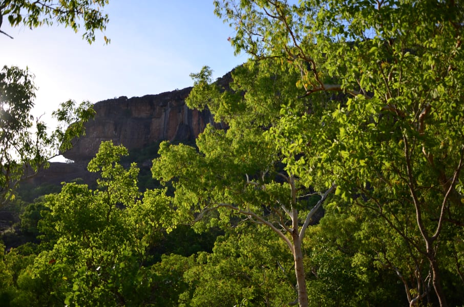 Вся Австралия с островами Фрейзер и Тасмания: 26 тыс км на авто (много фото)