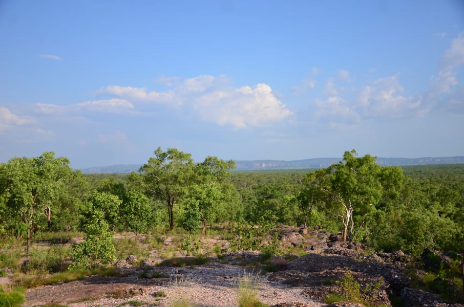 Вся Австралия с островами Фрейзер и Тасмания: 26 тыс км на авто (много фото)