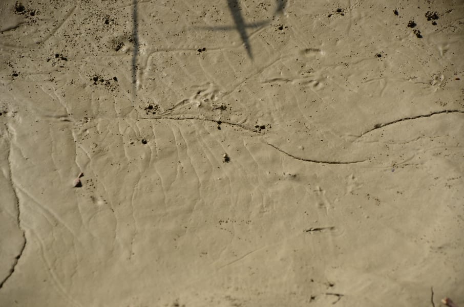 Вся Австралия с островами Фрейзер и Тасмания: 26 тыс км на авто (много фото)