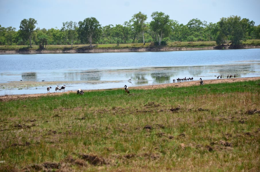 Вся Австралия с островами Фрейзер и Тасмания: 26 тыс км на авто (много фото)