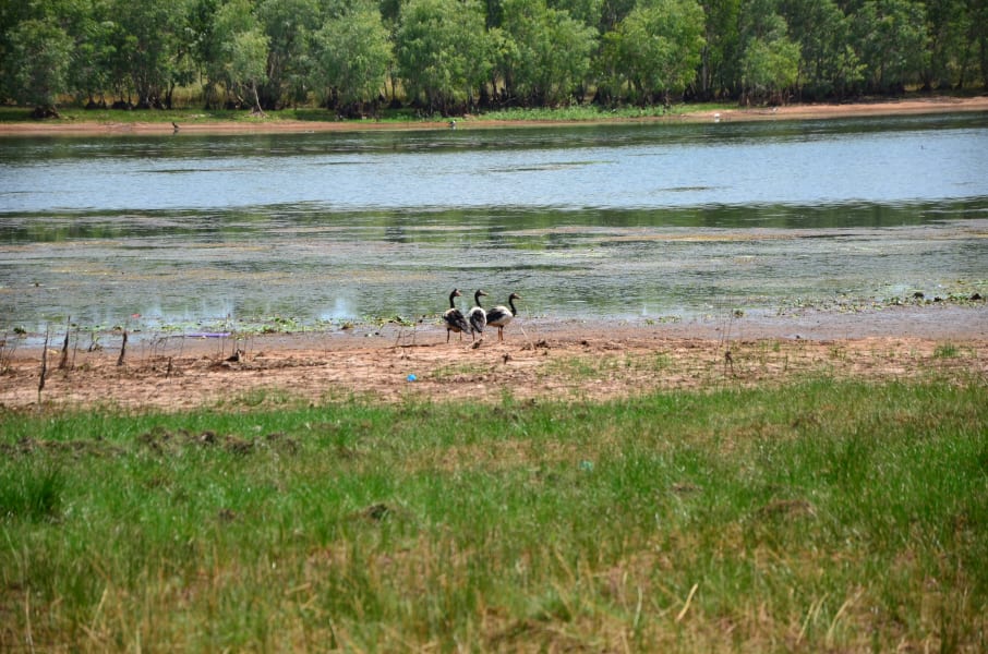 Вся Австралия с островами Фрейзер и Тасмания: 26 тыс км на авто (много фото)