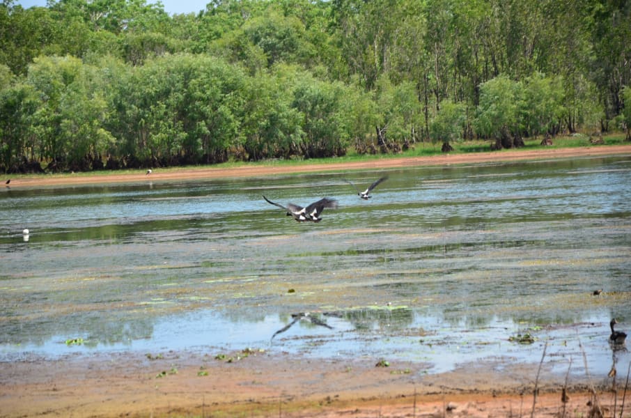 Вся Австралия с островами Фрейзер и Тасмания: 26 тыс км на авто (много фото)
