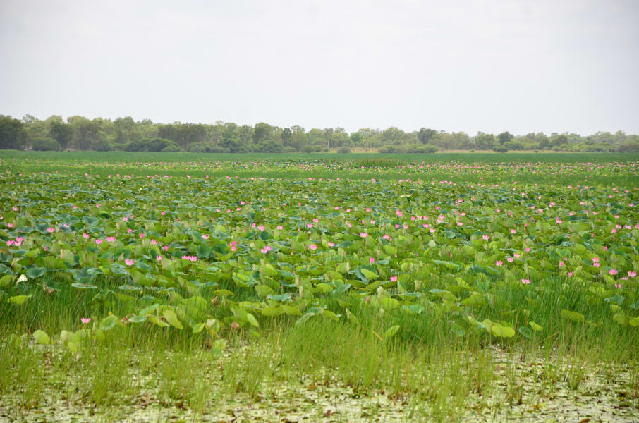 Вся Австралия с островами Фрейзер и Тасмания: 26 тыс км на авто (много фото)
