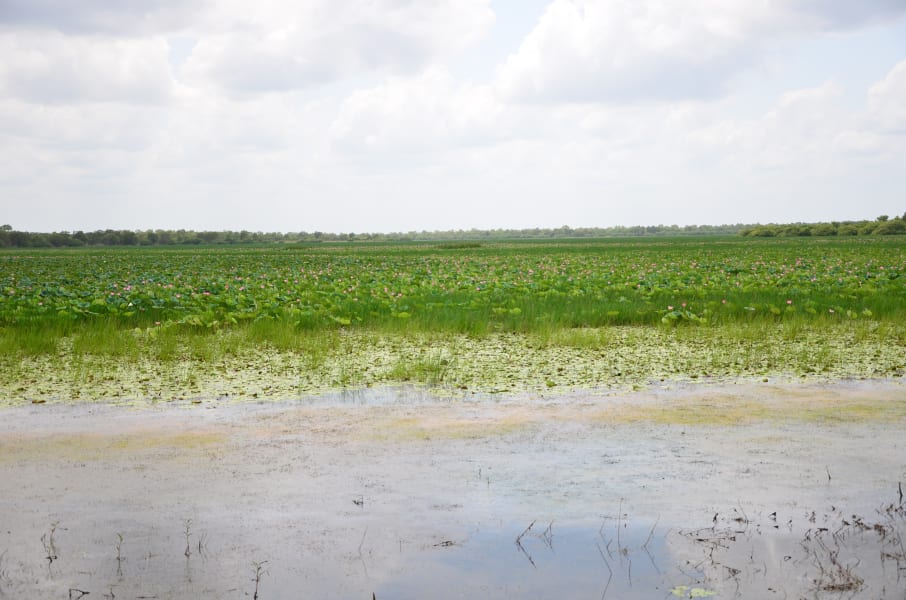 Вся Австралия с островами Фрейзер и Тасмания: 26 тыс км на авто (много фото)