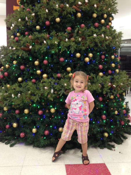 Вся Австралия с островами Фрейзер и Тасмания: 26 тыс км на авто (много фото)