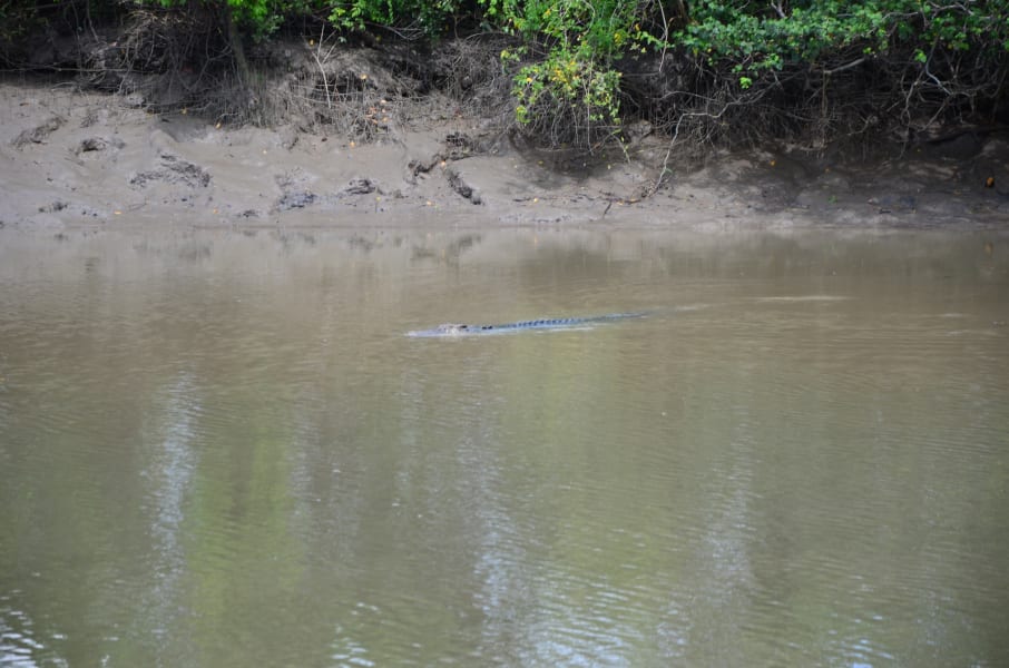 Вся Австралия с островами Фрейзер и Тасмания: 26 тыс км на авто (много фото)