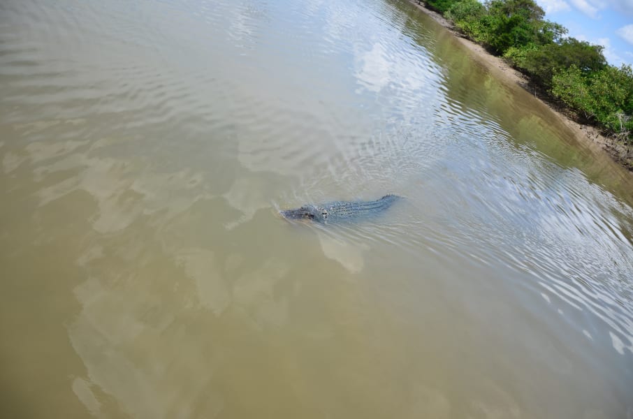 Вся Австралия с островами Фрейзер и Тасмания: 26 тыс км на авто (много фото)