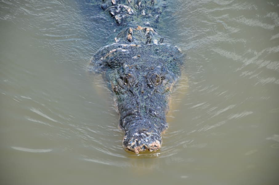 Вся Австралия с островами Фрейзер и Тасмания: 26 тыс км на авто (много фото)
