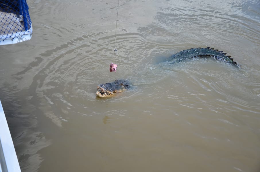 Вся Австралия с островами Фрейзер и Тасмания: 26 тыс км на авто (много фото)