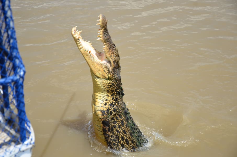 Вся Австралия с островами Фрейзер и Тасмания: 26 тыс км на авто (много фото)