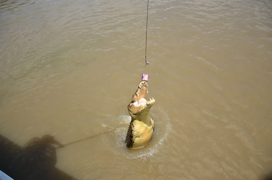 Вся Австралия с островами Фрейзер и Тасмания: 26 тыс км на авто (много фото)