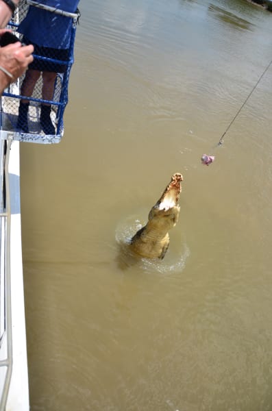 Вся Австралия с островами Фрейзер и Тасмания: 26 тыс км на авто (много фото)