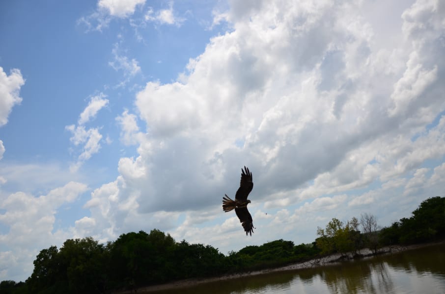 Вся Австралия с островами Фрейзер и Тасмания: 26 тыс км на авто (много фото)