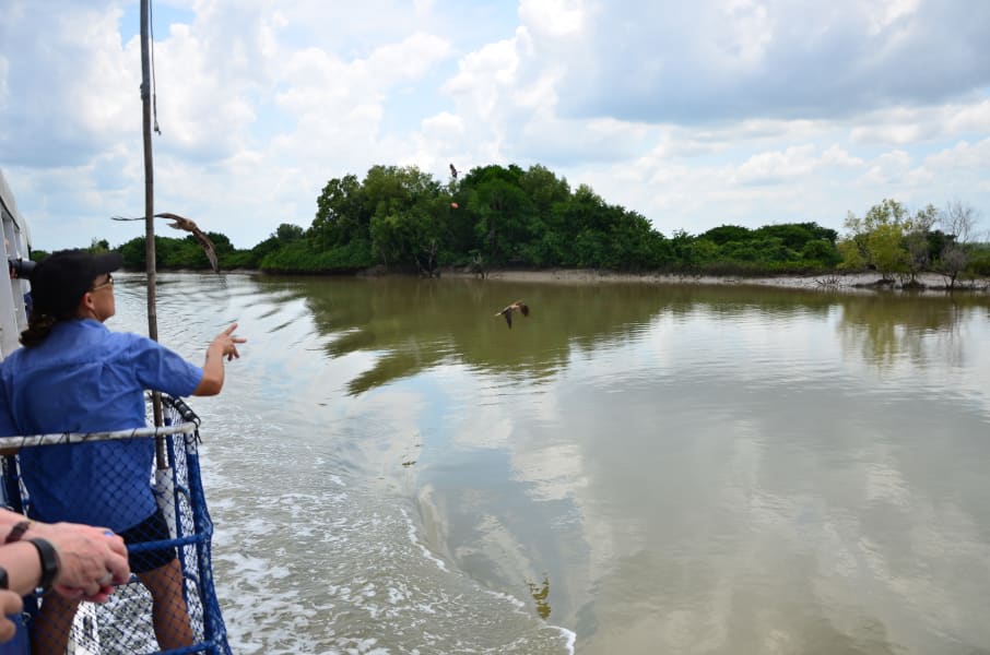 Вся Австралия с островами Фрейзер и Тасмания: 26 тыс км на авто (много фото)