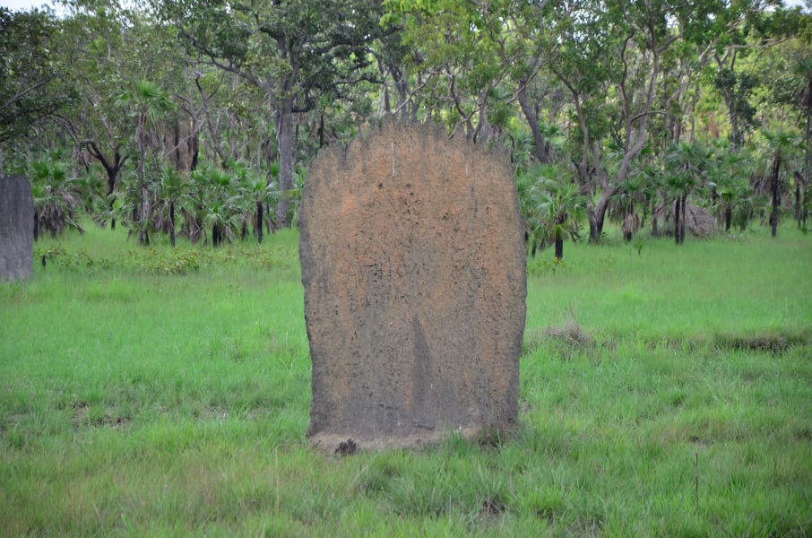 Вся Австралия с островами Фрейзер и Тасмания: 26 тыс км на авто (много фото)