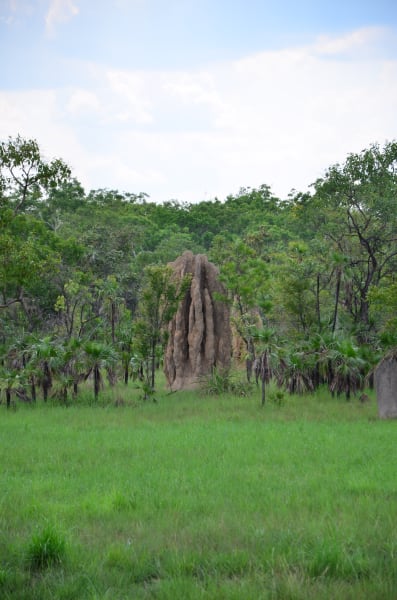 Вся Австралия с островами Фрейзер и Тасмания: 26 тыс км на авто (много фото)