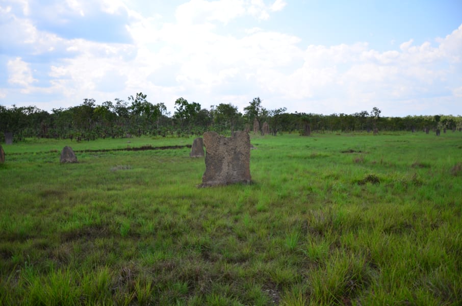 Вся Австралия с островами Фрейзер и Тасмания: 26 тыс км на авто (много фото)