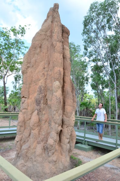 Вся Австралия с островами Фрейзер и Тасмания: 26 тыс км на авто (много фото)