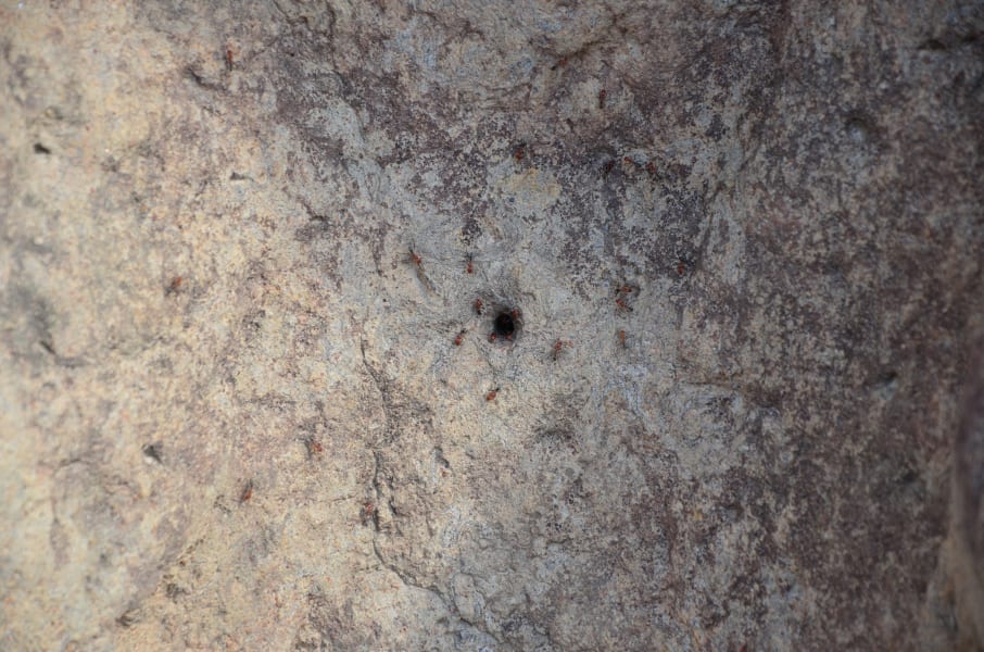 Вся Австралия с островами Фрейзер и Тасмания: 26 тыс км на авто (много фото)