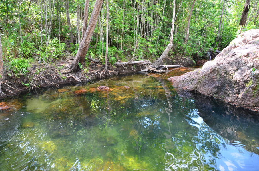 Вся Австралия с островами Фрейзер и Тасмания: 26 тыс км на авто (много фото)