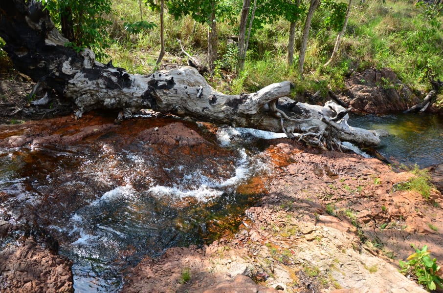 Вся Австралия с островами Фрейзер и Тасмания: 26 тыс км на авто (много фото)