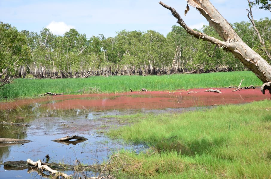 Вся Австралия с островами Фрейзер и Тасмания: 26 тыс км на авто (много фото)
