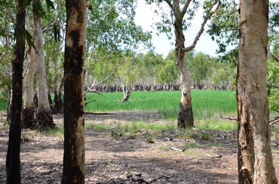 Вся Австралия с островами Фрейзер и Тасмания: 26 тыс км на авто (много фото)