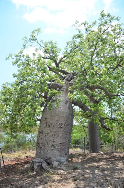 Вся Австралия с островами Фрейзер и Тасмания: 26 тыс км на авто (много фото)