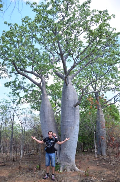 Вся Австралия с островами Фрейзер и Тасмания: 26 тыс км на авто (много фото)