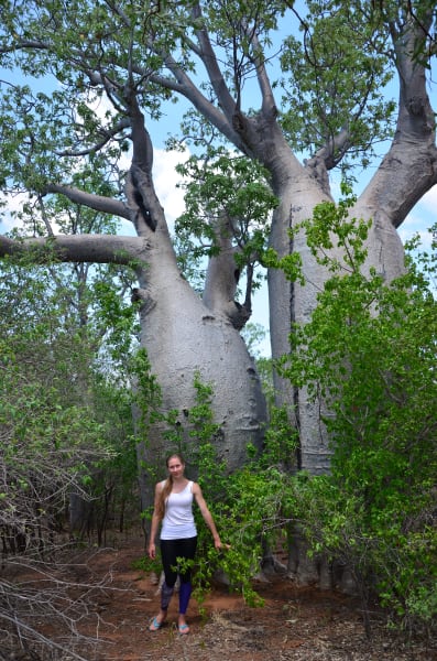 Вся Австралия с островами Фрейзер и Тасмания: 26 тыс км на авто (много фото)