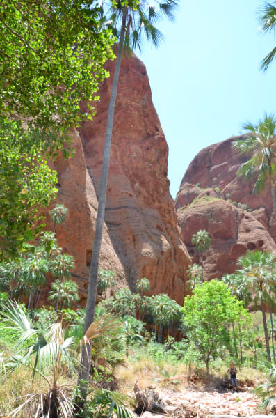 Вся Австралия с островами Фрейзер и Тасмания: 26 тыс км на авто (много фото)